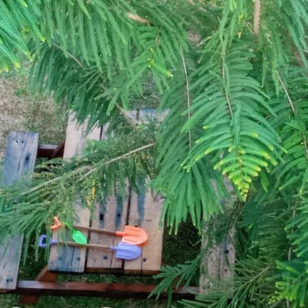 N 34 Hotel Mirissa Bagian luar foto