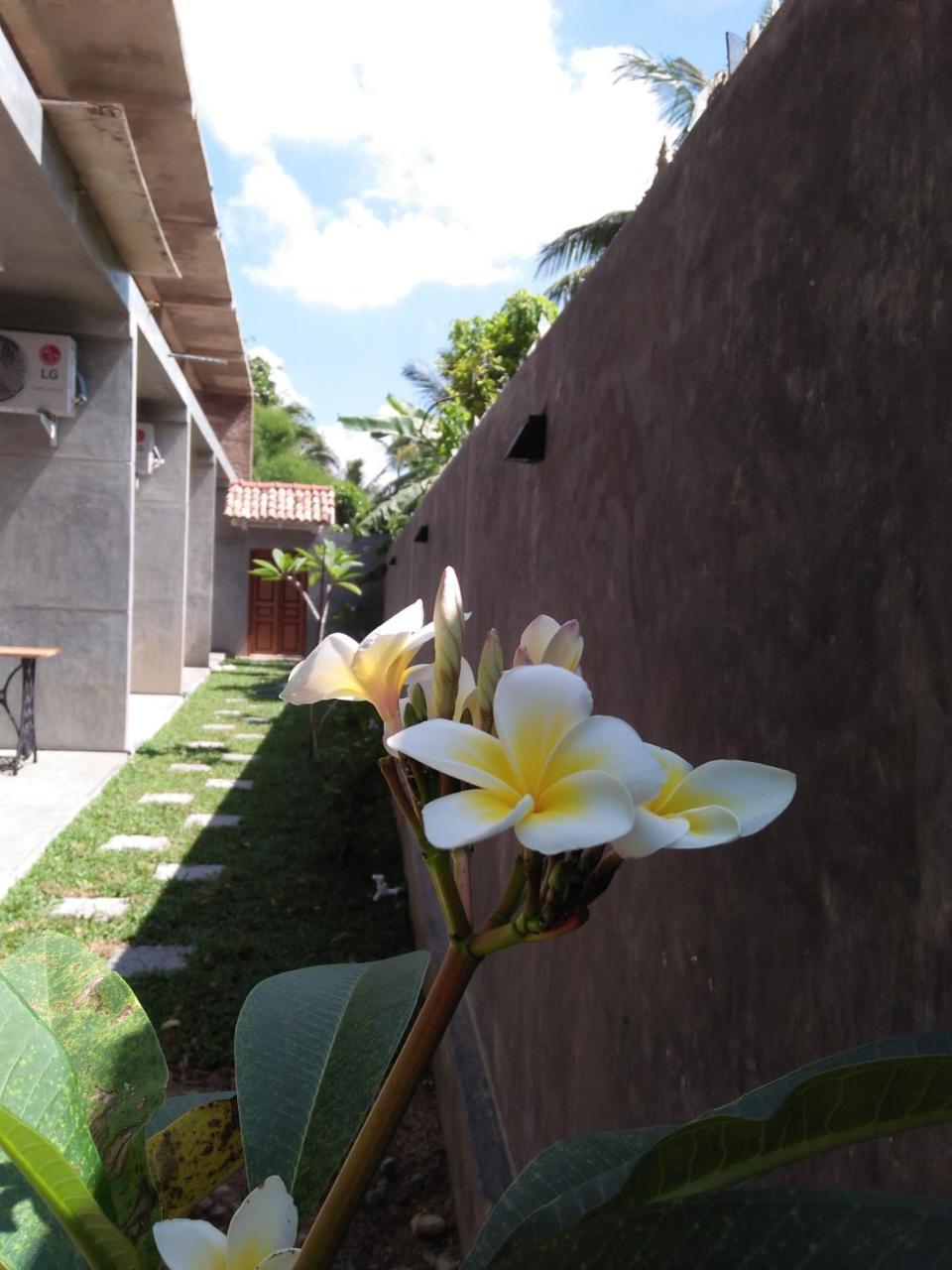 N 34 Hotel Mirissa Bagian luar foto